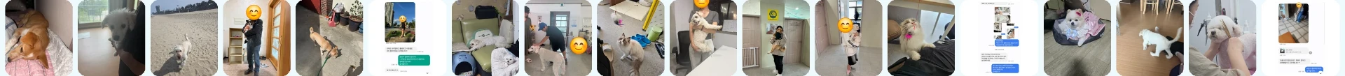새 가족을 만난 반려동물들의 입양 소식 모음 세 번째 줄
